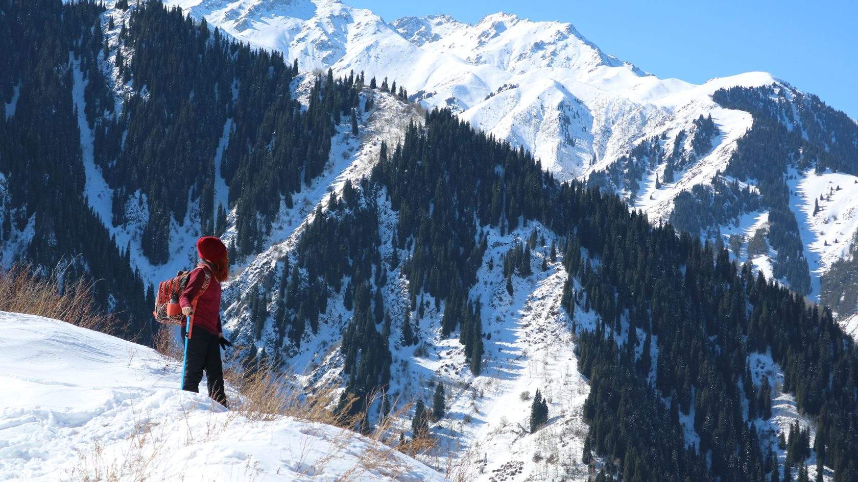 Monte Горные походы (Поход на старую Японскую дорогу)