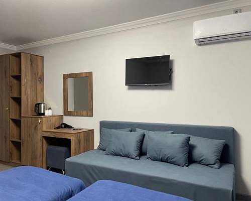 Standart Twin 2х местный номер БО Dem Al Alakol Hotel Акши
								2