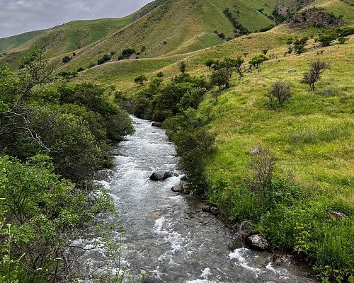 Monte Горные походы (Поход на водопад Узын Каргалы)
								2